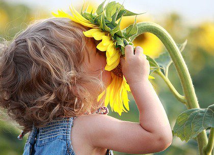 child sunflower